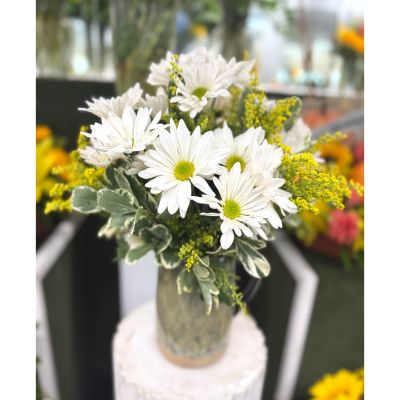 DiBella Flowers & Gifts Las Vegas - Hazy Daisy Arrangement In the Cooler