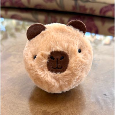 DiBella Flowers & Gifts Las Vegas - Barry Beanie Bouncer