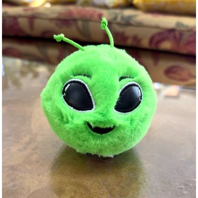 DiBella Flowers & Gifts Las Vegas - Sebastian Beanie Bouncer