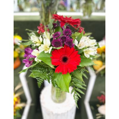 DiBella Flowers & Gifts Las Vegas - Scarlet & Violet Arrangement In the Cooler