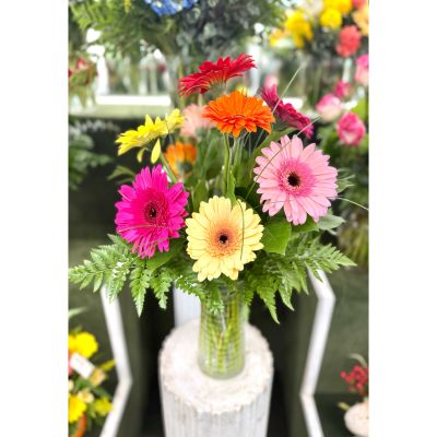 DiBella Flowers & Gifts Las Vegas - Splash of Color Arrangement In the Cooler