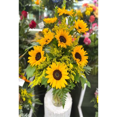 DiBella Flowers & Gifts Las Vegas - Sunny Sunflowers Arrangement In the Cooler
