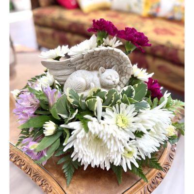DiBella Flowers & Gifts Las Vegas - Say “Goodnight my friend. Until we meet again.” to your precious cat friend. Available for same day delivery at Dibella Flowers and Gifts 