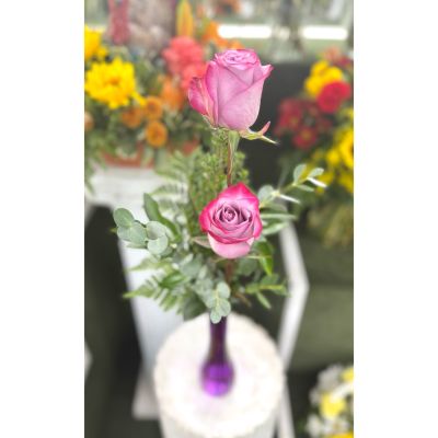 DiBella Flowers & Gifts Las Vegas - Double Lavender Rose Budvase In the Cooler