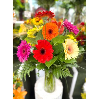 DiBella Flowers & Gifts Las Vegas - Splash of Color Arrangement In the Cooler