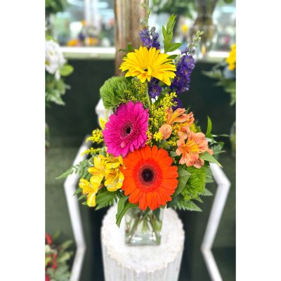 DiBella Flowers & Gifts Las Vegas - Vibrant Daydream Arrangement In the Cooler