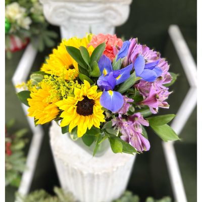 DiBella Flowers & Gifts Las Vegas - Blossoms of Color Cube Arrangement In the Cooler