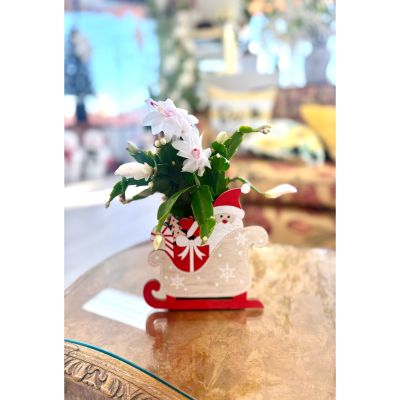 Christmas Cactus Sleigh Addon