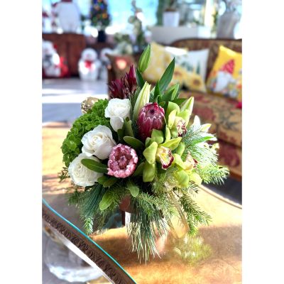 DiBella Flowers & Gifts Las Vegas - This striking arrangement blends natural elegance with festive charm. Featuring sculptural protea, creamy white roses, and vibrant green cymbidium orchids, it’s artfully accented with lush evergreen pine for a fresh, wintery feel. Rich textures and soft seasonal tones create a design that feels both warm and refined—perfect for holiday celebrations, winter gatherings, or as a statement piece that brings beauty and sophistication into any space.