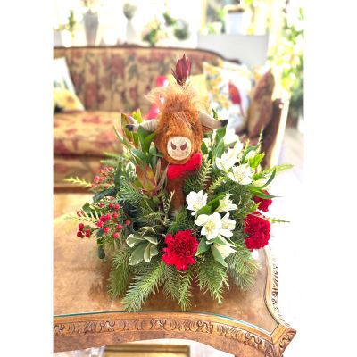 DiBella Flowers & Gifts Las Vegas - A Very Merry Moo is a festive holiday arrangement filled with lush winter evergreens, bright red carnations, white blooms, and seasonal accents. At the center sits an adorable stuffed Highland cow, adding cozy charm and playful whimsy. Perfect for spreading smiles and holiday cheer.