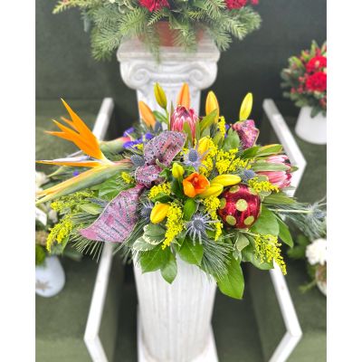 DiBella Flowers & Gifts Las Vegas - Tropical Centerpiece In the Cooler