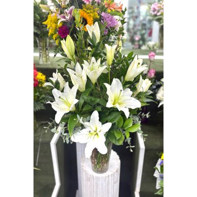 DiBella Flowers & Gifts Las Vegas - White Lily Arrangement In the Cooler