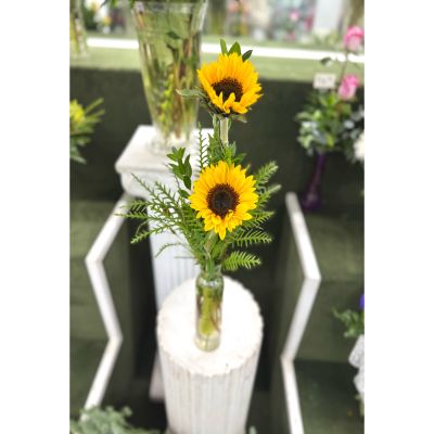 DiBella Flowers & Gifts Las Vegas - Double Sunflower Budvase In the Cooler