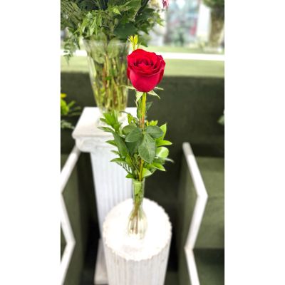 DiBella Flowers & Gifts Las Vegas - Single Red Rose Budvase In the Cooler
