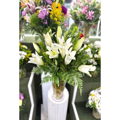 DiBella Flowers & Gifts Las Vegas - All White Lily Arrangement In the Cooler