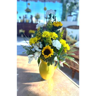 DiBella Flowers & Gifts Las Vegas - Bring a burst of sunshine to someone’s day with the SunFlower Sunshine Pitcher Arrangement! This happy, one-sided bouquet features bright yellow sunflowers paired with crisp white alstroemeria and fluffy white carnations, all arranged in a playful yellow pitcher.

Perfect for Mother’s Day, birthdays, get well wishes, or just because, this cheerful arrangement radiates warmth, joy, and positivity. The unique pitcher doubles as a charming keepsake vase, so the sunshine never ends!

Send smiles, laughter, and a little extra cheer with this fun, one-of-a-kind floral gift—a true standout that brightens any room.