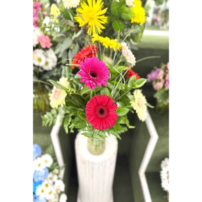 DiBella Flowers & Gifts Las Vegas - Splash of Color Arrangement In the Cooler