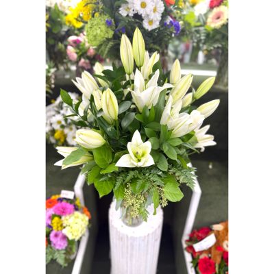 DiBella Flowers & Gifts Las Vegas - All White Lily Arrangement In The Cooler