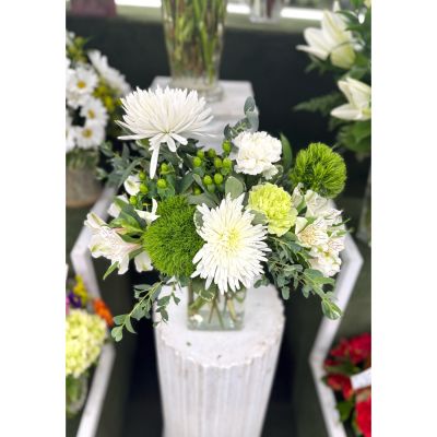 DiBella Flowers & Gifts Las Vegas - Clean and Green Arrangement In the Cooler