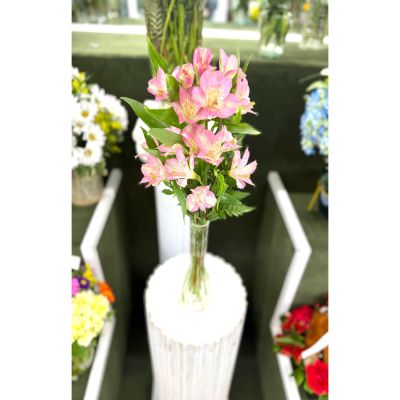 DiBella Flowers & Gifts Las Vegas - Pink Alstromeria Budvase In the Cooler
