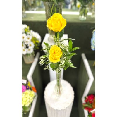 DiBella Flowers & Gifts Las Vegas - Double Yellow Rose Budvase In the Cooler