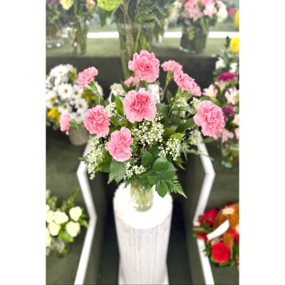 DiBella Flowers & Gifts Las Vegas - Dozen Pink Carnation Arrangement In the Cooler