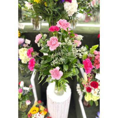 DiBella Flowers & Gifts Las Vegas - Dozen Pink Carnations Arrangement In the Cooler