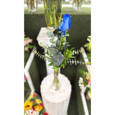 DiBella Flowers & Gifts Las Vegas - Single Blue Rose Budvase In the Cooler