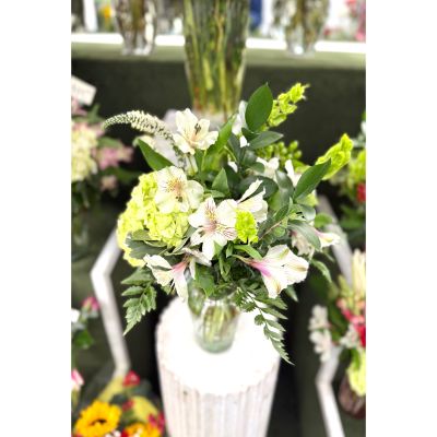 DiBella Flowers & Gifts Las Vegas - White Whispers Arrangement In the Cooler