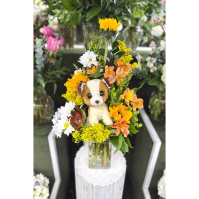 DiBella Flowers & Gifts Las Vegas - Peek-A-Boo Arrangement In the Cooler