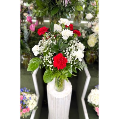 DiBella Flowers & Gifts Las Vegas - Dozen Red & White Carnation Arrangement In the Cooler