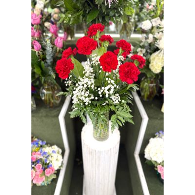 DiBella Flowers & Gifts Las Vegas - Dozen Red Carnation Arrangement In the Cooler