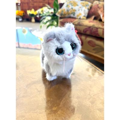 DiBella Flowers & Gifts Las Vegas - Purley is a fluffy white and gray cat with soft fur and sparkly eyes. She has pink inner ears and a sweet little pink nose, giving her an extra cute and cuddly look. Perfect for cat lovers who adore classic, cozy companions.