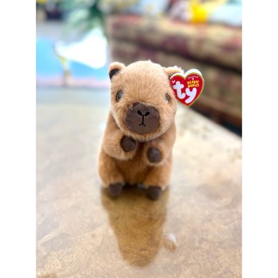 DiBella Flowers & Gifts Las Vegas - Mocha is an adorable brown capybara with soft, cozy fur and big sparkly eyes. Her warm chocolate coloring gives her a sweet and comforting look, making her a lovable and cuddly companion for any Beanie Boo fan.