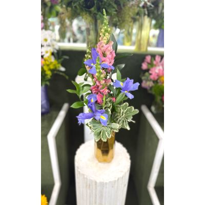 DiBella Flowers & Gifts Las Vegas - Quiet Gold Arrangement In the Cooler