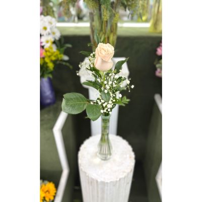DiBella Flowers & Gifts Las Vegas - Single Rose Budvase In the Cooler