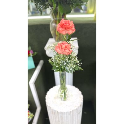 DiBella Flowers & Gifts Las Vegas - Double Carnation Budvase In the Cooler