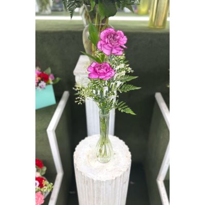 DiBella Flowers & Gifts Las Vegas - Double Carnation Budvase In the Cooler