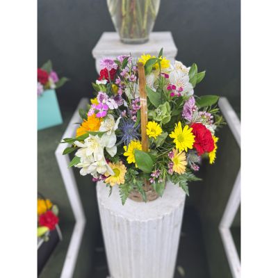 DiBella Flowers & Gifts Las Vegas - Bundle Of Blooms Basket Arrangement In the Cooler