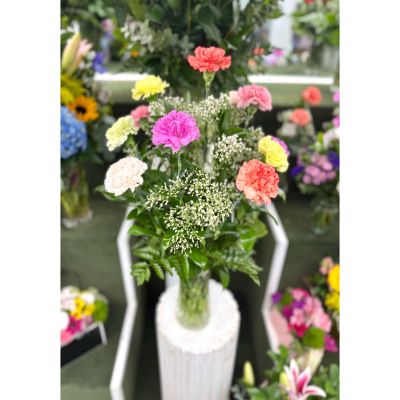 DiBella Flowers & Gifts Las Vegas - Dozen Colorful Carnation Arrangement In the Cooler