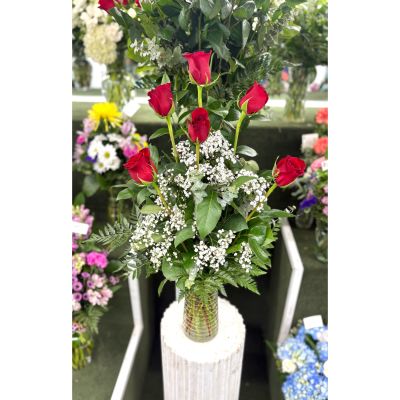 DiBella Flowers & Gifts Las Vegas - Half Dozen Red Roses Arrangement In the Cooler