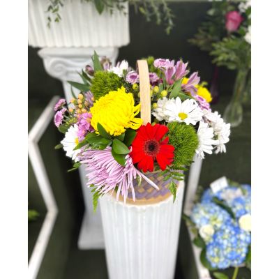 DiBella Flowers & Gifts Las Vegas - Timeless Basket Blooms Arrangement In the Cooler