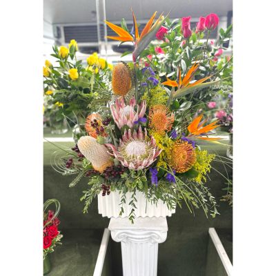 DiBella Flowers & Gifts Las Vegas - Tropical Paradise Arrangement In the Cooler