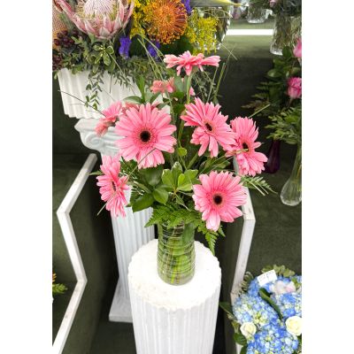 DiBella Flowers & Gifts Las Vegas - All Pink Splash of Color Arrangement In the Cooler