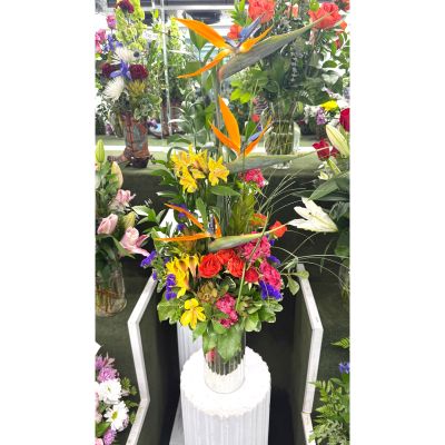 DiBella Flowers & Gifts Las Vegas - Petal Poppin' Arrangement In the Cooler