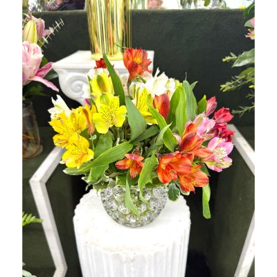 DiBella Flowers & Gifts Las Vegas - Awesome Alstros Arrangement In the Cooler