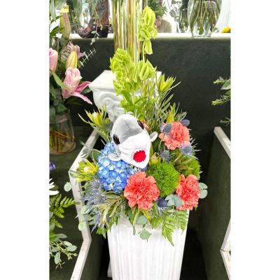 DiBella Flowers & Gifts Las Vegas - Feelin’ Fishy Arrangement In the Cooler