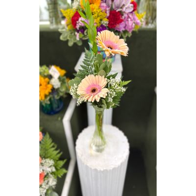 DiBella Flowers & Gifts Las Vegas - Double Gerbera Daisy Budvase In the Cooler