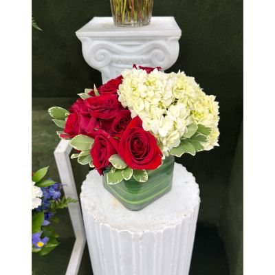 DiBella Flowers & Gifts Las Vegas - Roses & Hydrangea Cube Arrangement In the Cooler