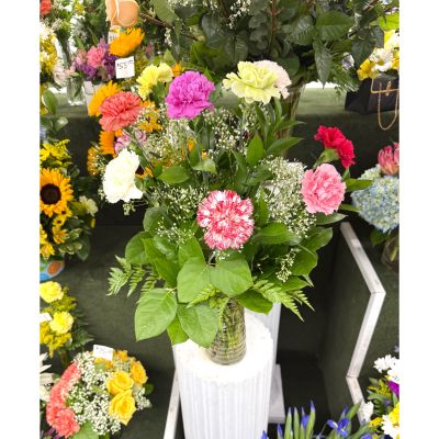 DiBella Flowers & Gifts Las Vegas - Dozen Colorful Carnations Arrangement In the Cooler 